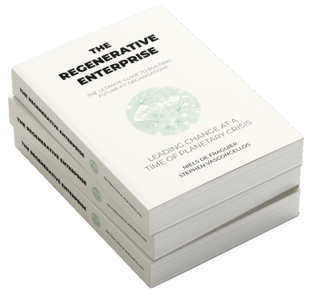 Compass for Regenerative Business